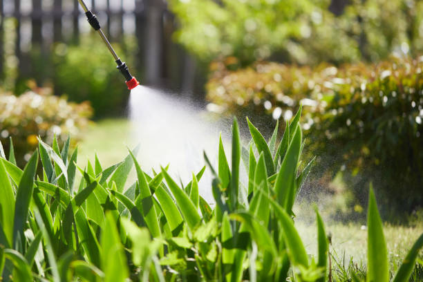 24/7 Emergency Mosquito Control experts in Wilberforce, OH